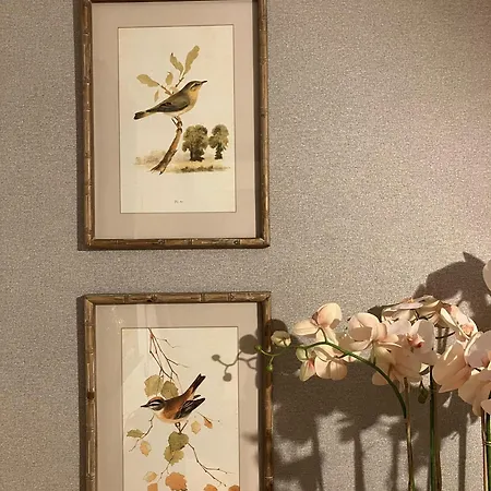 The Herbalist (adults Only) * ティハニ