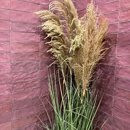 The Herbalist (adults Only) ホテル *