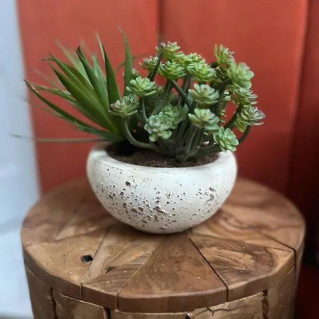 The Herbalist (adults Only) Ξενοδοχείο *