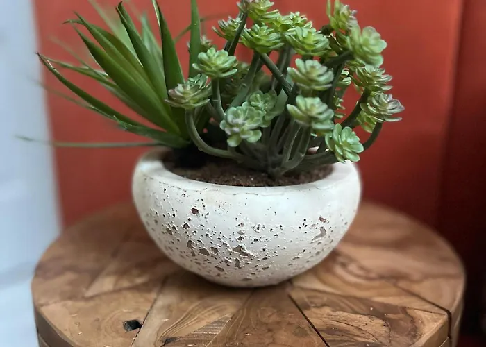 The Herbalist (adults Only) ホテル *